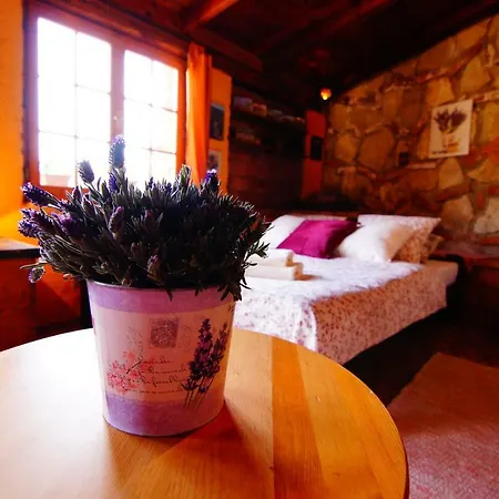 Apartmán Lavander Appartement *